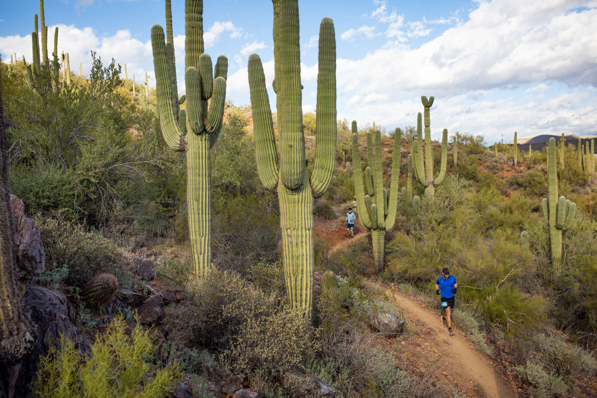 aravaipa canyon weather forecast